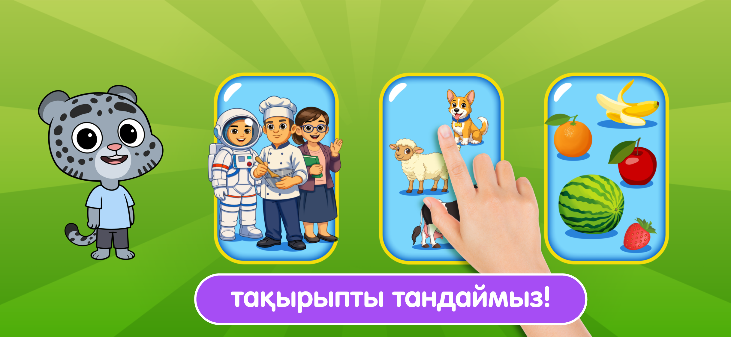 Barys Bala — Категории